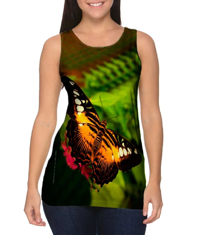 Colorful Dark Orange Butterfly